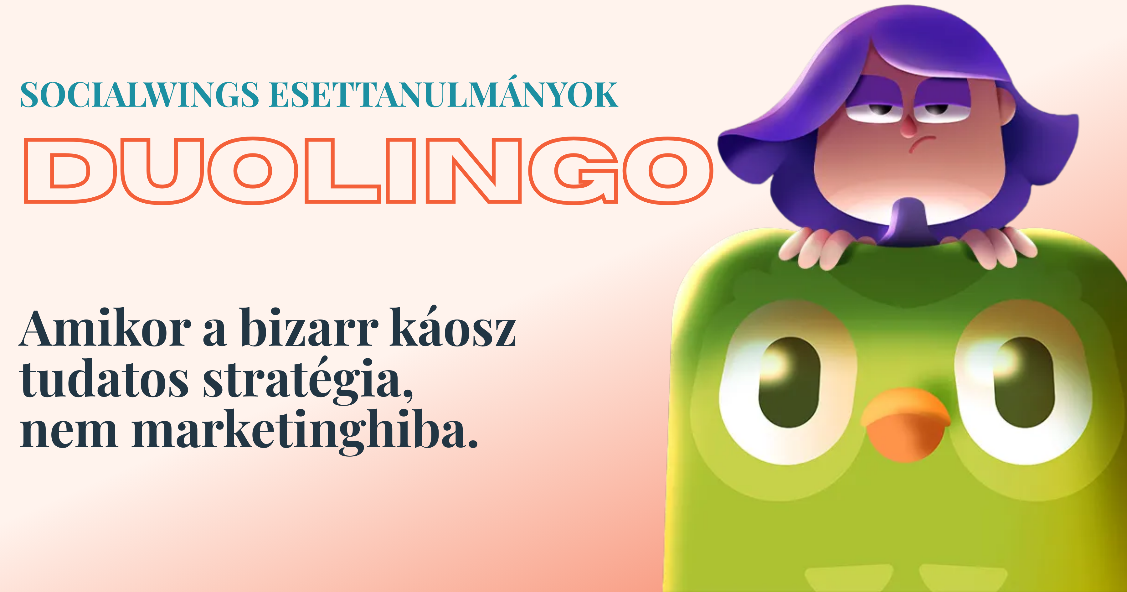 A Duolingo Őrült marketingstratégiája. - 2025-12-19T13:11:00Z